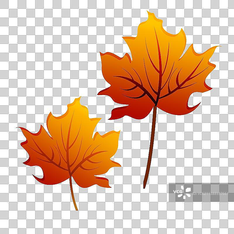 红色枫叶元素图片素材