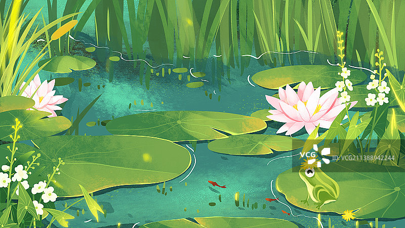 七月睡莲水草池塘青蛙夏季系列插画图片素材