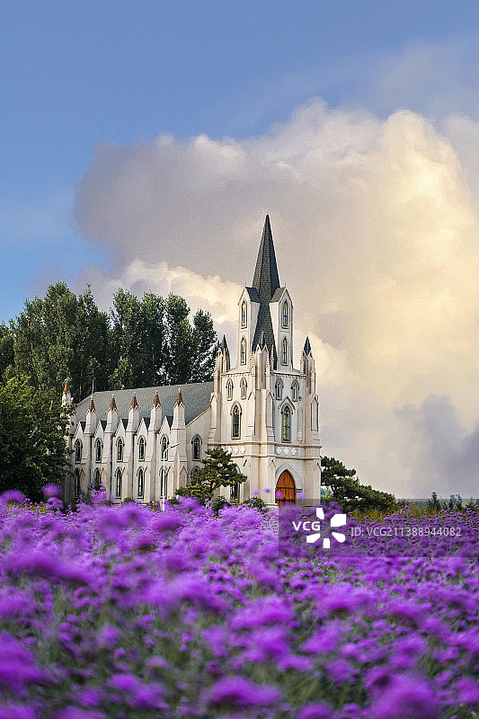 梦幻薰衣草庄园和远处的教堂图片素材