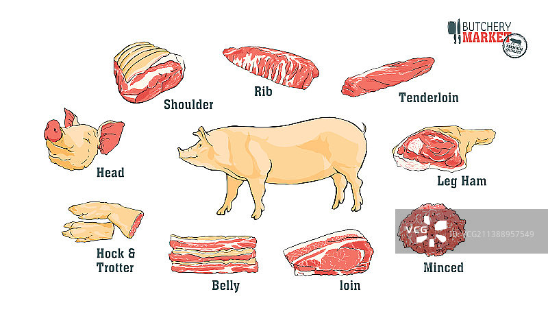猪肉分割部位海报图片素材