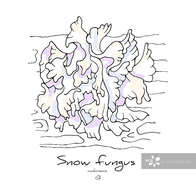 孤立的雪耳图片素材