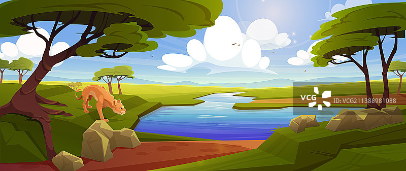 有母狮、河流和金合欢树的热带草原图片素材