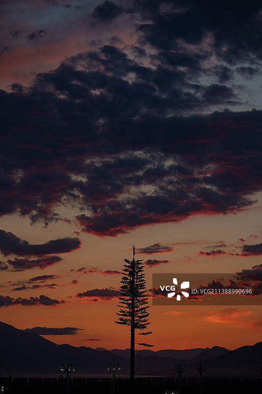 赛里木湖落日黄昏树木图片素材