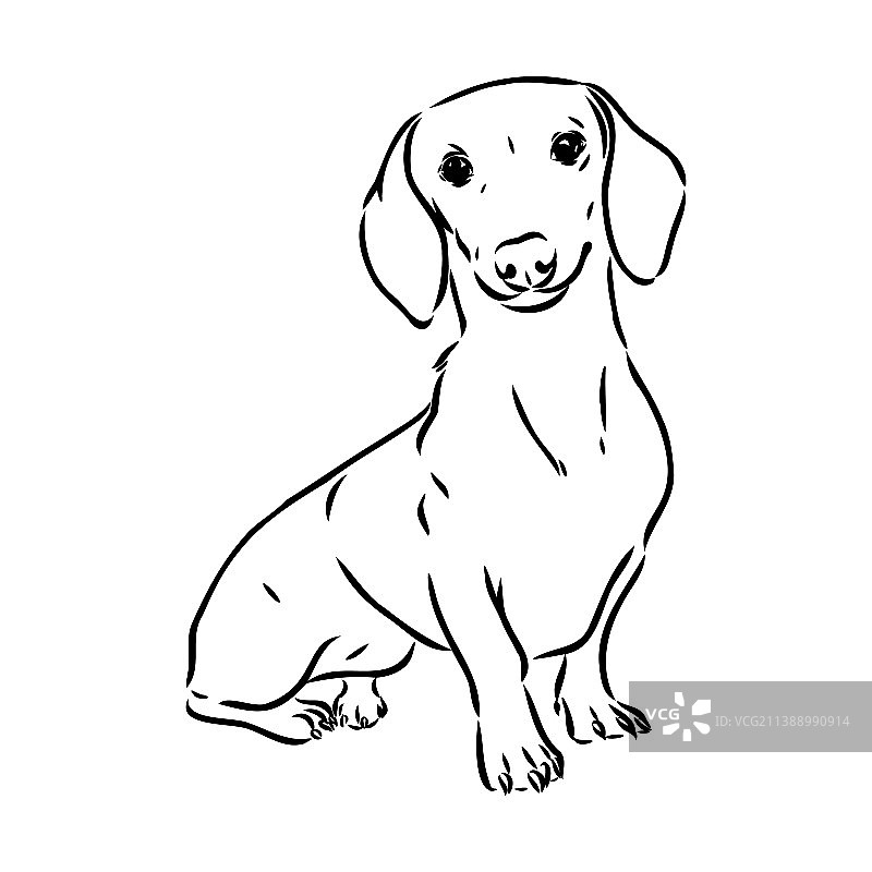 手绘腊肠犬图片素材
