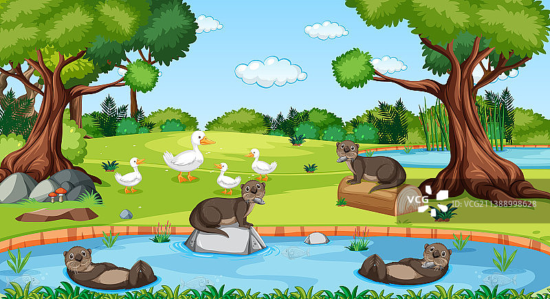 森林中的河流，有水獭和鸭子图片素材