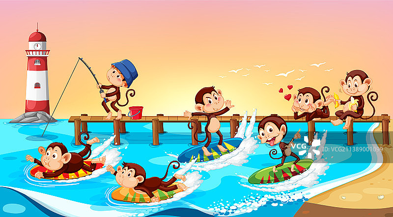 猴子在海滩上嬉戏图片素材