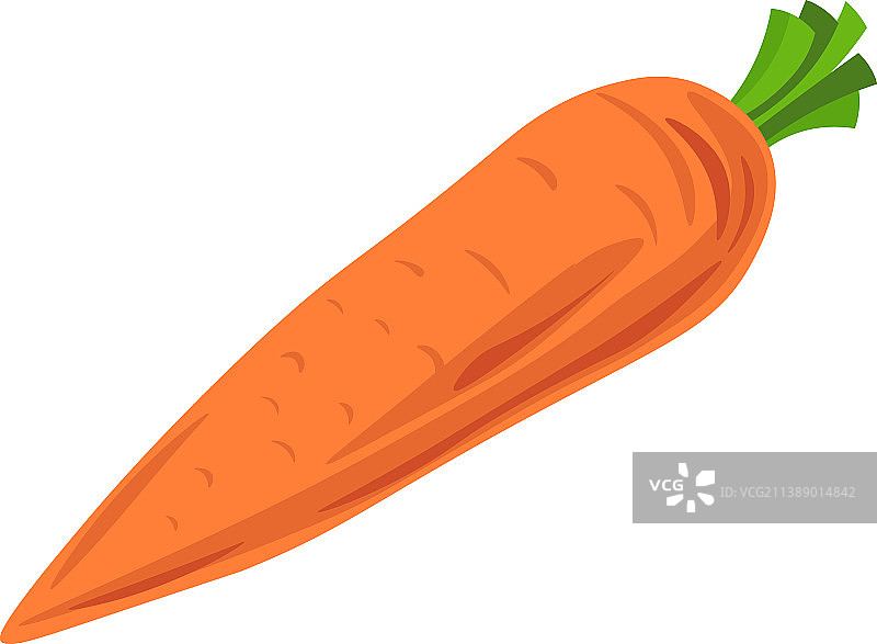 带叶子的新鲜成熟胡萝卜图片素材