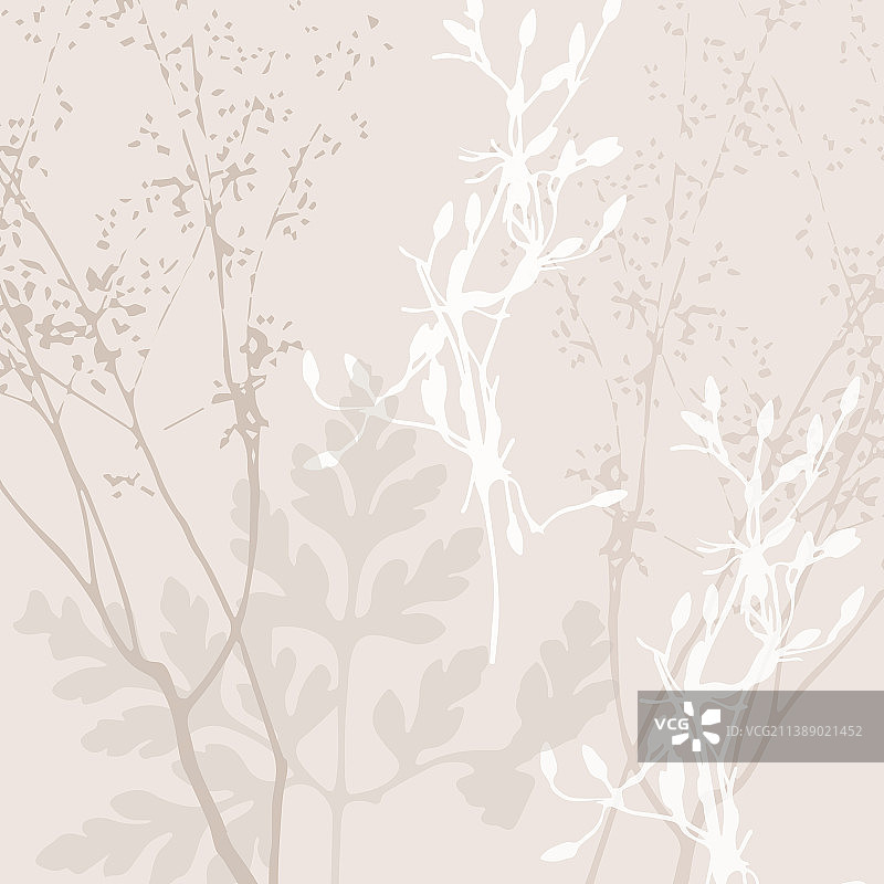 精致的野花植物图案图片素材