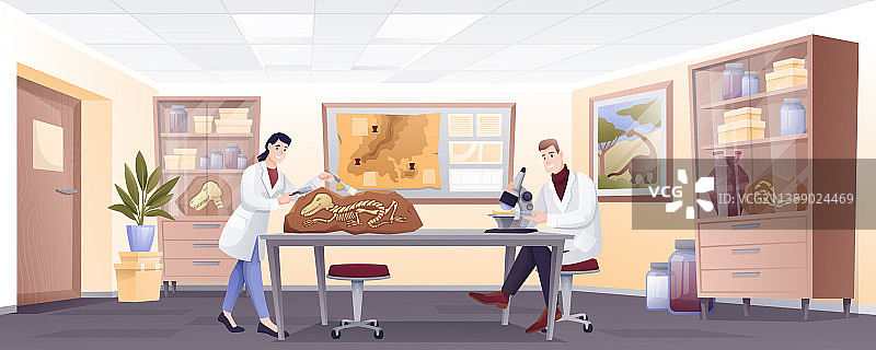 古生物学家在实验室用化石进行研究图片素材