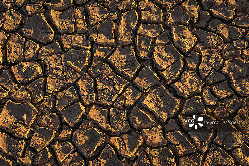 龟裂的土地，干枯的土地，地表干枯的画面，纹理的质感图片素材