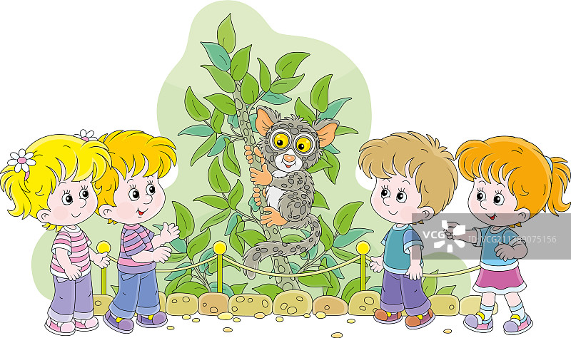 孩子们在动物园观看菲律宾眼镜猴图片素材