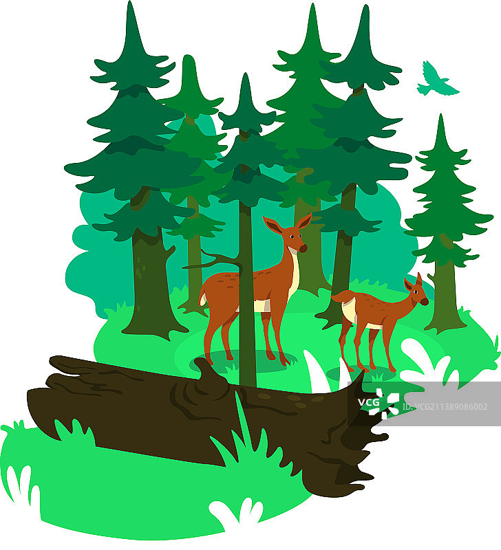 国家公园2.5D网页banner海报图片素材