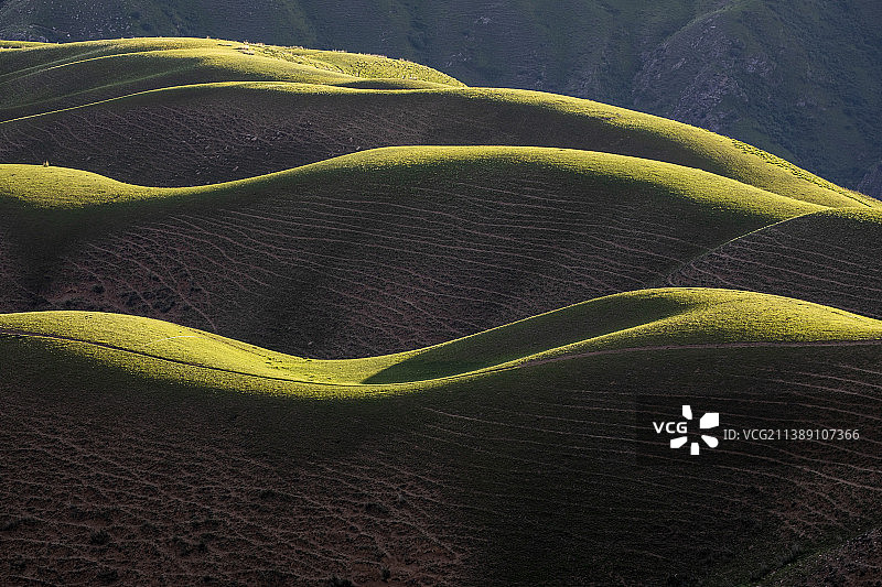 喀拉峻草原美人背图片素材
