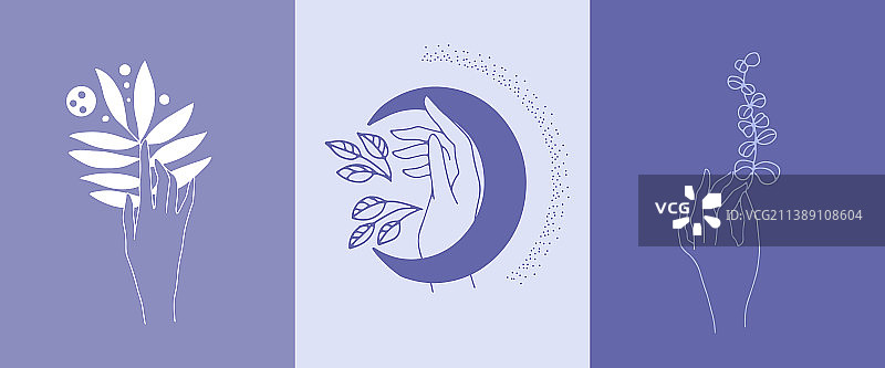 长春花蓝配色海报设计图片素材