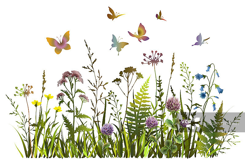 彩色野花和蝴蝶剪影图片素材
