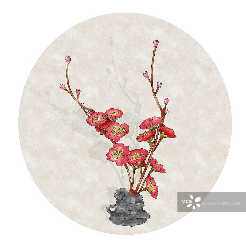 水彩植物红梅图片素材
