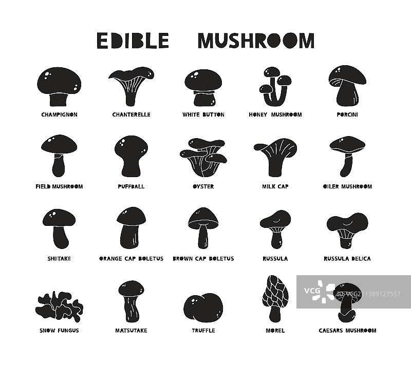 带名称的食用蘑菇黑色轮廓图标图片素材