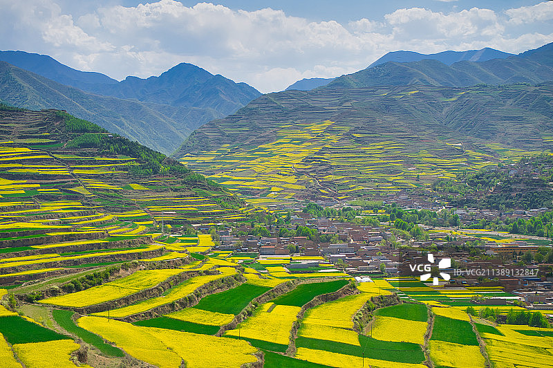 甘肃天水武山县油菜花图片素材