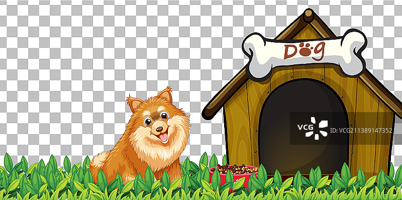 透明背景上的博美犬和狗屋图片素材