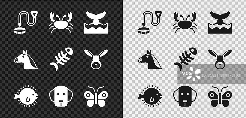 带名称标签的项圈（螃蟹、鲸鱼尾巴）图片素材