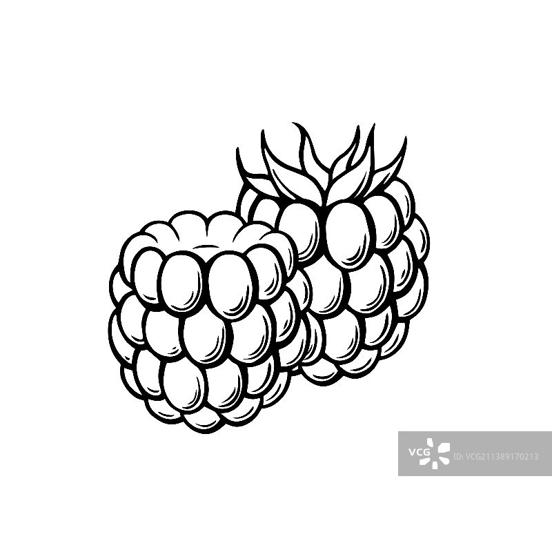 覆盆子图标图片素材