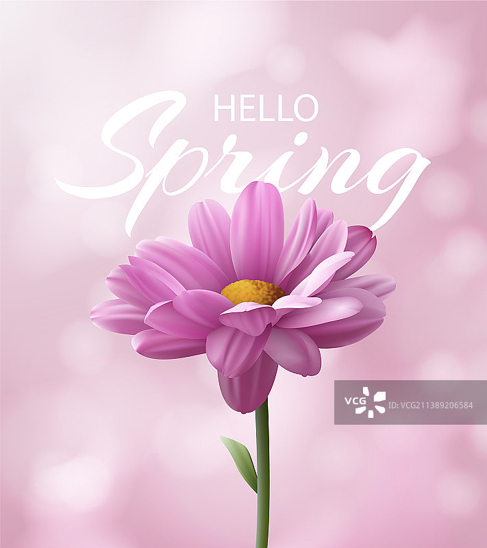 逼真的菊花春季banner图片素材