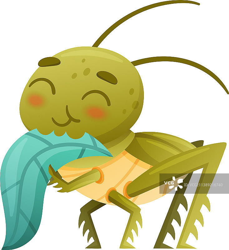 可爱的绿色蚱蜢吃绿叶图片素材