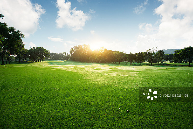 公园草地图片素材