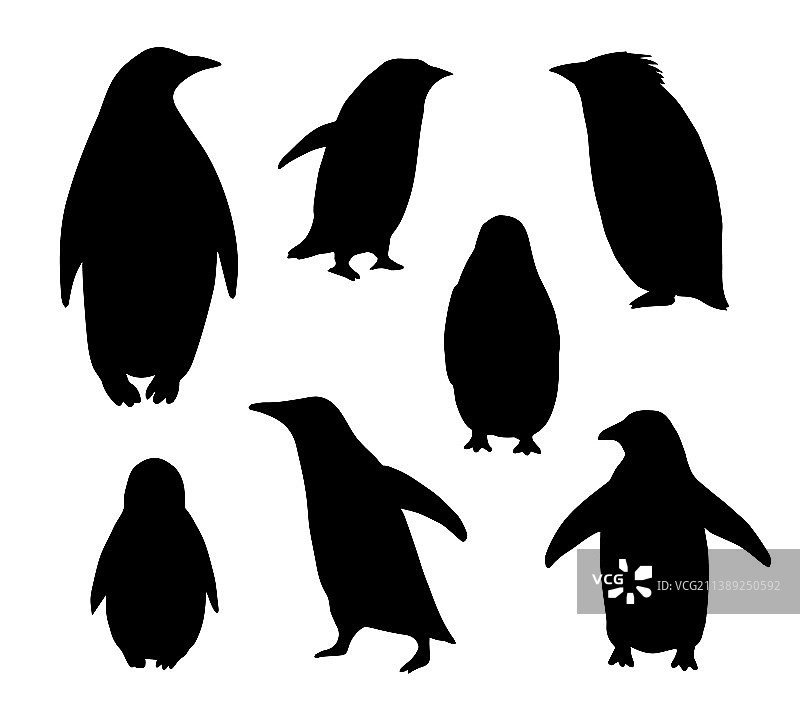 手绘企鹅轮廓剪影套餐图片素材