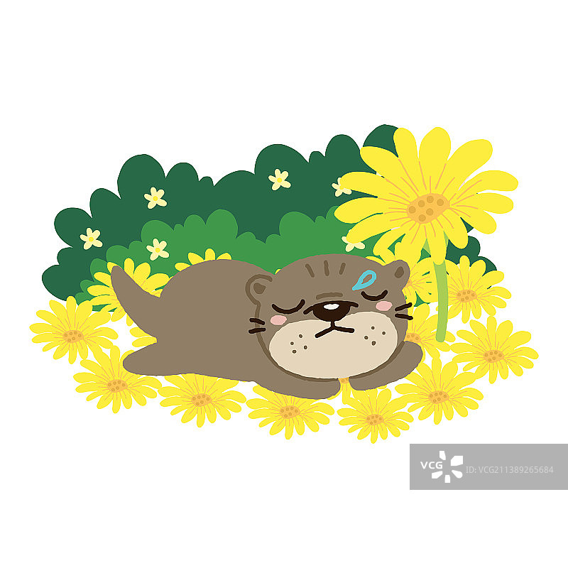 在花田里睡觉的可爱水獭图片素材
