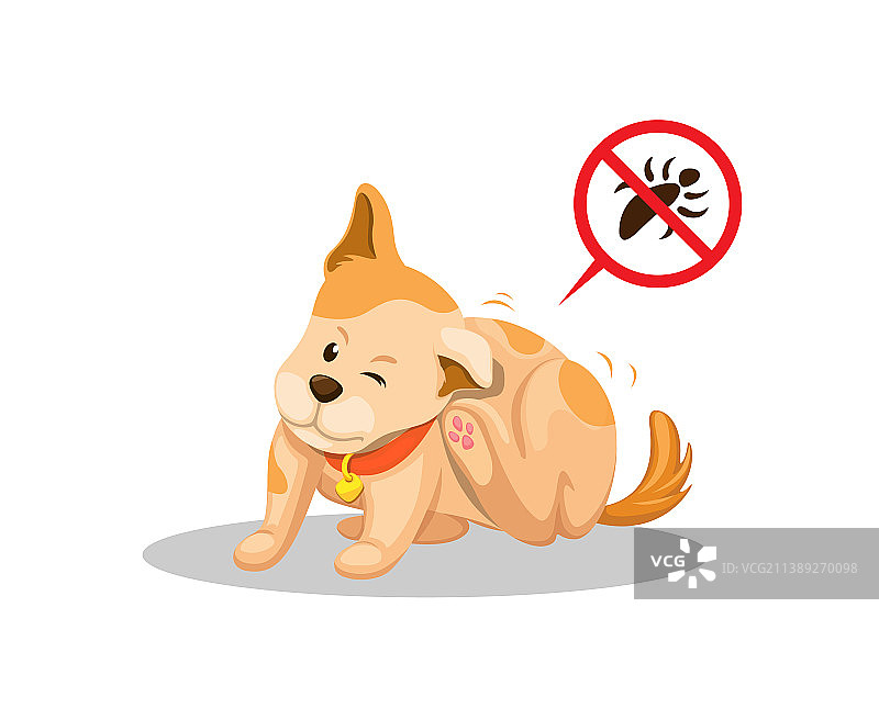 因宠物皮肤寄生虫问题而发痒的小狗图片素材
