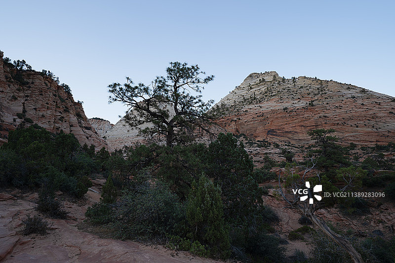 棋盘台地附近的锡安国家公园图片素材