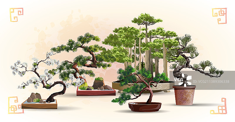 盆栽树木组合图片素材