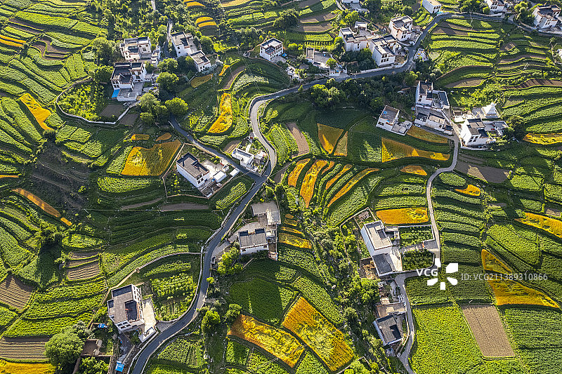 中国四川甘孜州乡城县白藏房田园风光图片素材