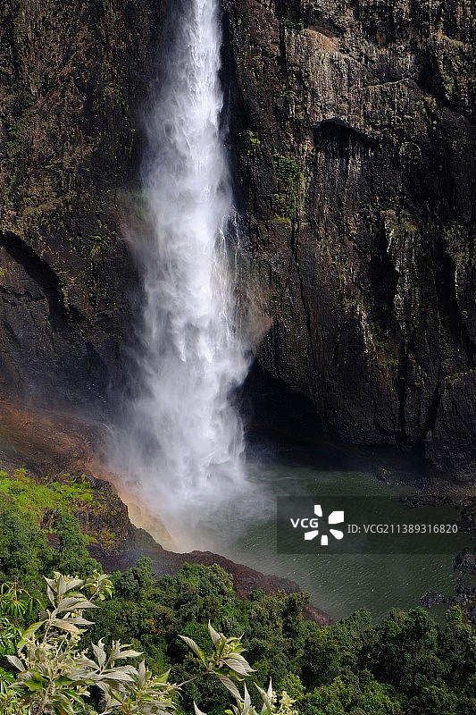 森林中的瀑布风景图片素材