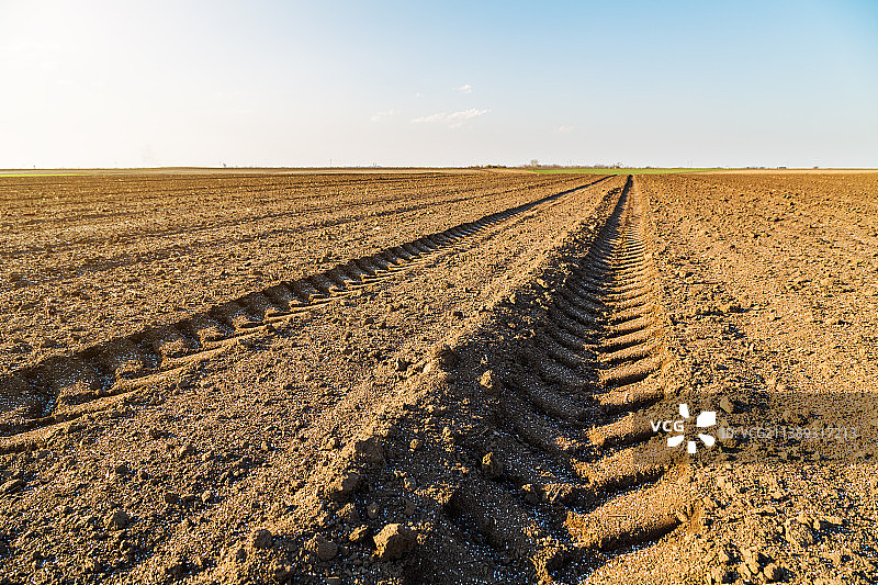 塞尔维亚临时农作物耕地图片素材