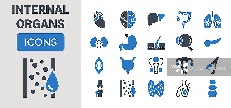 内部器官图标集图片素材