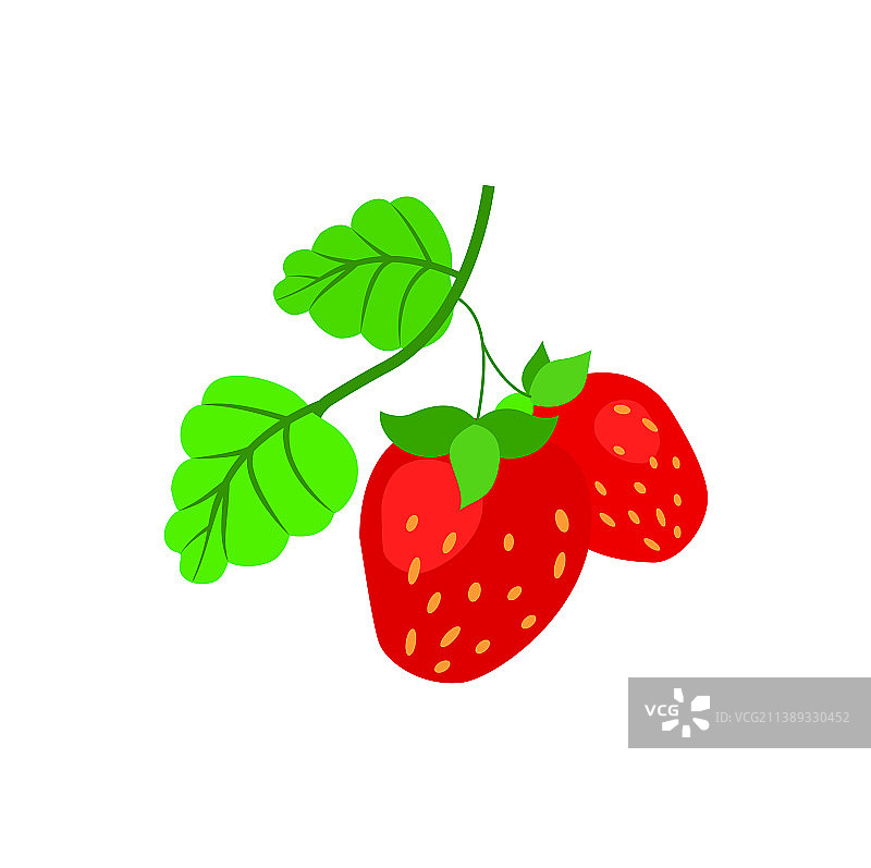 白色背景上的草莓枝图片素材