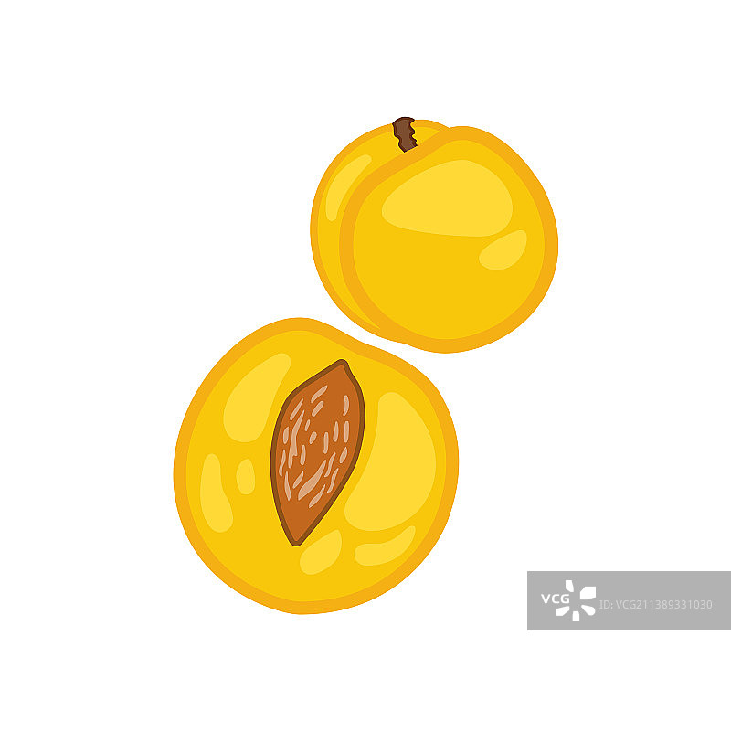 白色背景下的杏图片素材