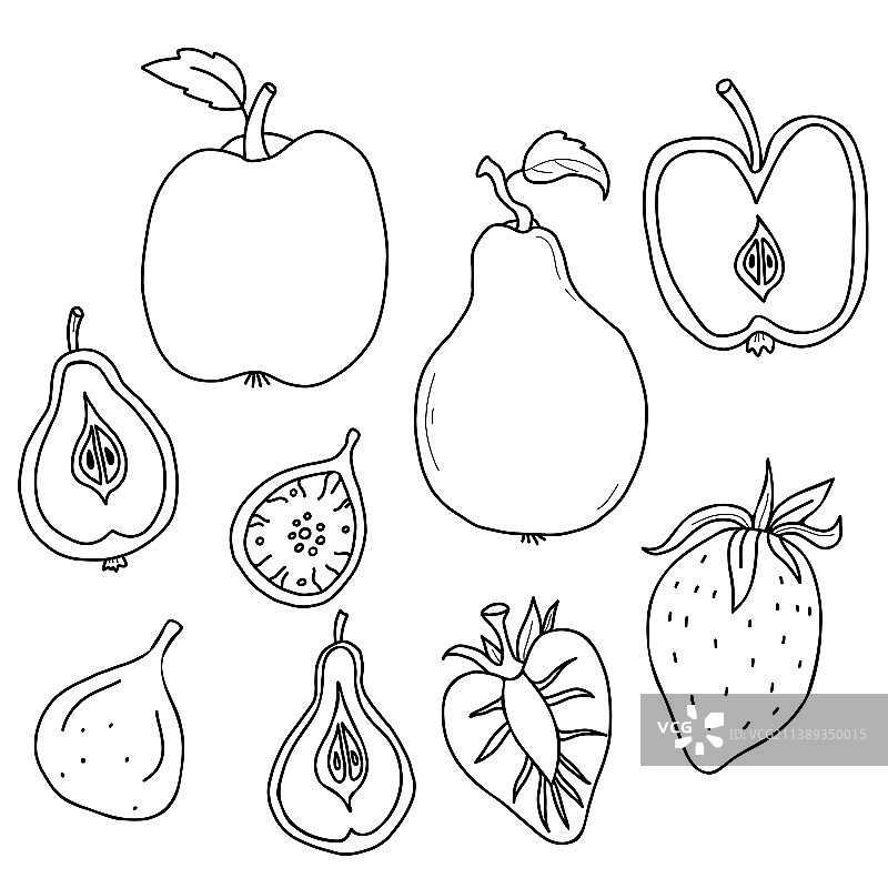 水果和浆果合集图片素材