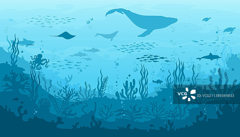 有珊瑚礁鱼类和鲸鱼的水下海洋景观图片素材