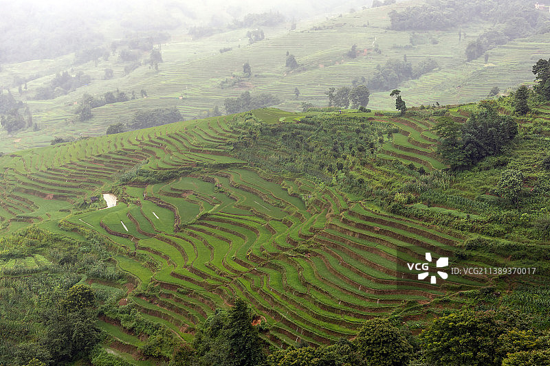 云南红河元阳梯田图片素材