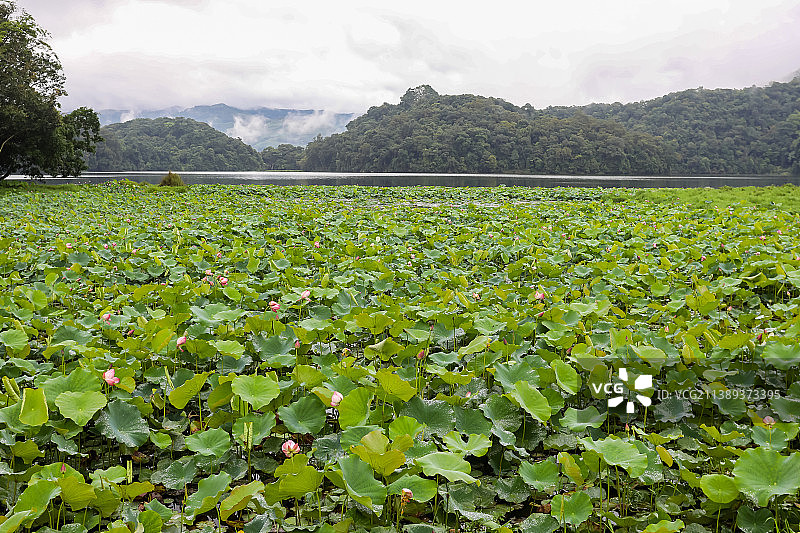 云南普洱思茅西盟县勐梭龙潭景区风光图片素材