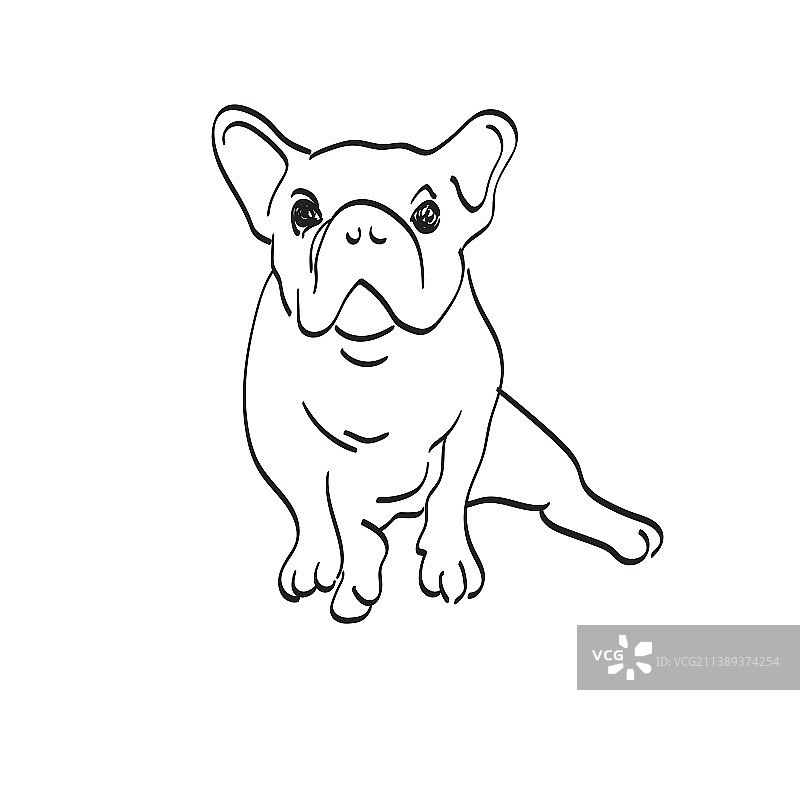 手绘斗牛犬图片素材