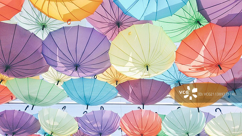 阳光正好（手机摄影）图片素材