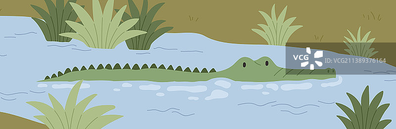 尼罗河中游泳的鳄鱼图片素材