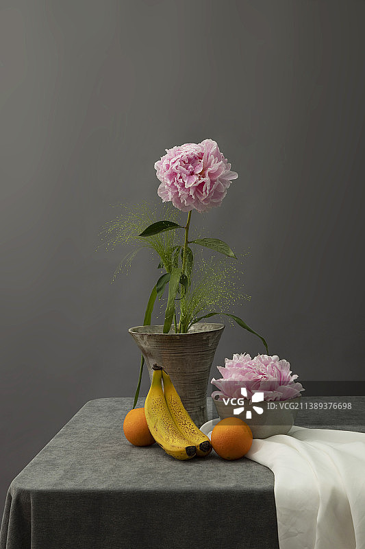 一组静物照片图片素材