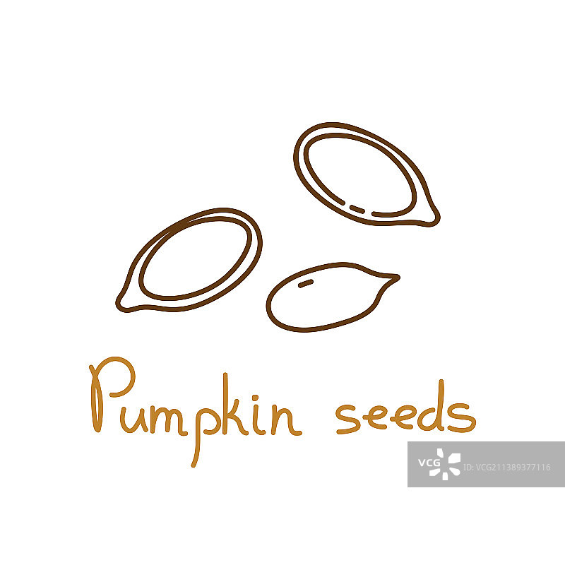 手绘南瓜籽图形元素图片素材