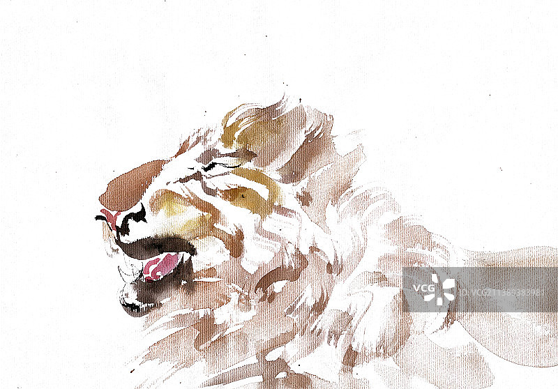 威严的狮子图片素材