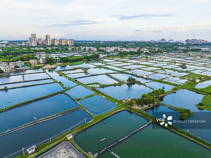 北海航拍养殖业鱼塘图片素材